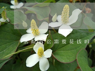 法院诉讼需要花钱吗 法院诉讼需要花钱吗