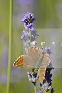 法院该怎样解决婚后房贷 法院该怎样解决婚后房贷