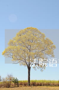 法院语言识别 法院语言识别