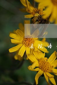 法院语音识别公司 法院语音识别公司