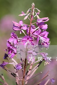 法院误冻结个人账户怎么解冻 法院误冻结个人账户怎么解冻