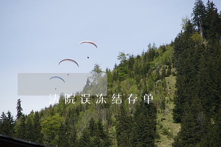 法院误冻结存单 法院误冻结存单