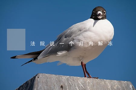 法院说一个月内解冻 法院说一个月内解冻