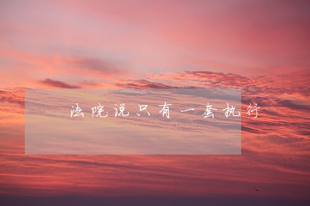 法院说只有一套执行 法院说只有一套执行
