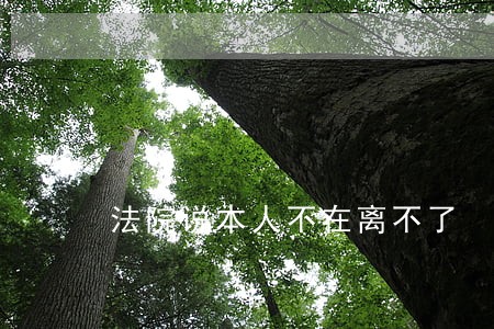 法院说本人不在离不了 法院说本人不在离不了