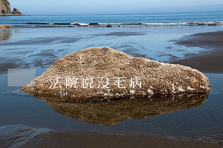 法院说没毛病 法院说没毛病