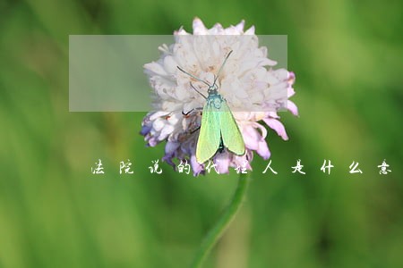 法院说的代理人是什么意思
