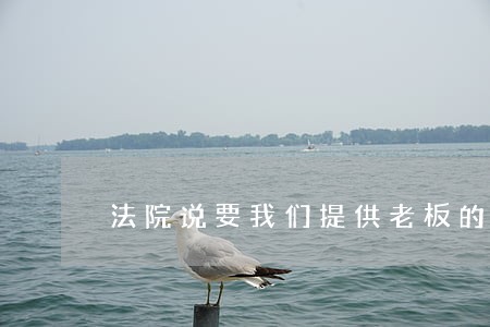 法院说要我们提供老板的财产证明 法院说要我们提供老板的财产证明