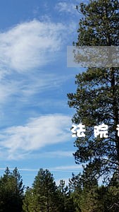法院说调解不成就不给调解书对吗 法院说调解不成就不给调解书对吗