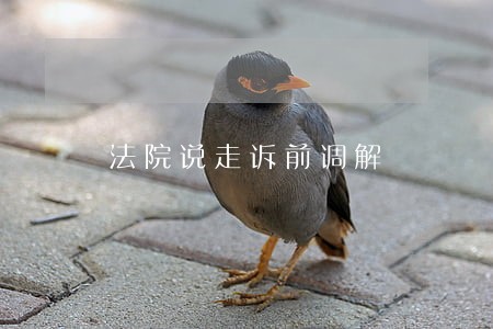 法院说走诉前调解 法院说走诉前调解