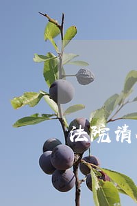 法院请全体起立 法院请全体起立
