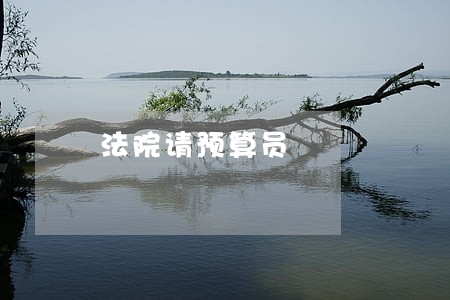 法院请预算员 法院请预算员