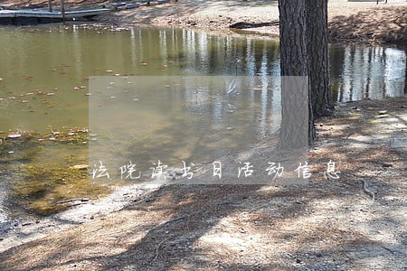 法院读书日活动信息 法院读书日活动信息