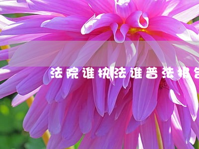 法院谁执法谁普法报告 法院谁执法谁普法报告