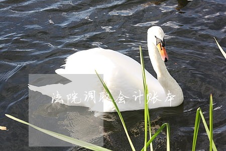 法院调取会计账本 法院调取会计账本