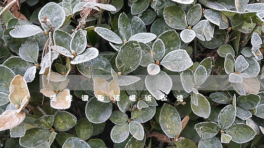 法院调取证据诉讼法 法院调取证据诉讼法