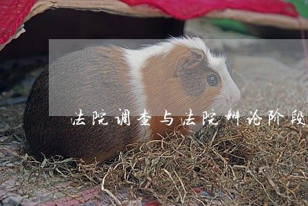 法院调查与法院辩论阶段 法院调查与法院辩论阶段