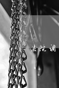 法院调查令海南省