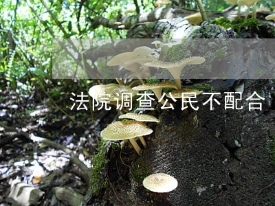 法院调查公民不配合 法院调查公民不配合