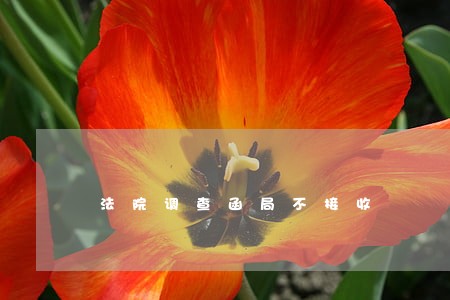 法院调查函局不接收 法院调查函局不接收