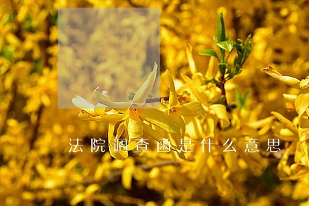 法院调查函是什么意思 法院调查函是什么意思
