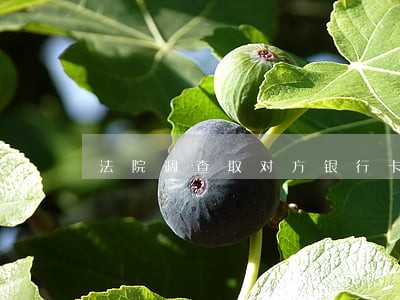 法院调查取对方银行卡申请书 法院调查取对方银行卡申请书