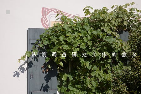 法院调查研究工作的意义 法院调查研究工作的意义