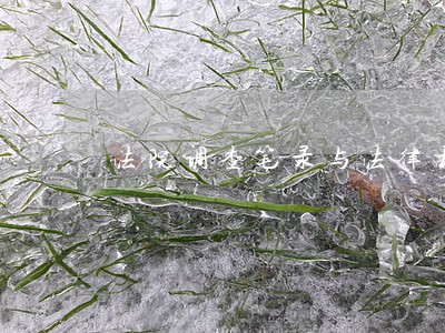 法院调查笔录与法律相违背