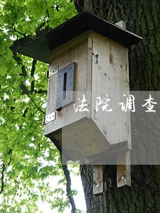 法院调查需出具 法院调查需出具