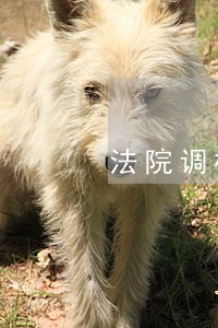 法院调档判决书 法院调档判决书
