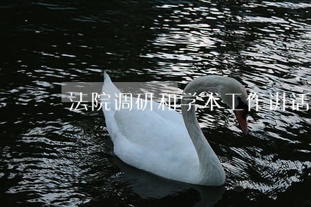 法院调研和学术工作讲话