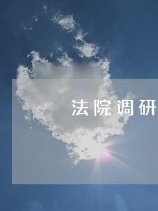 法院调研报告担保 法院调研报告担保