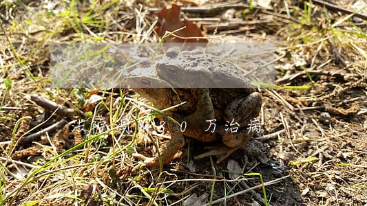 法院调解80万治病 法院调解80万治病