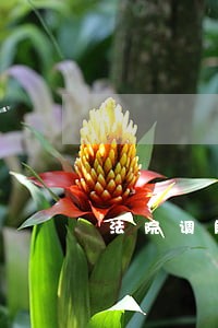 法院调解一定要律师到场么