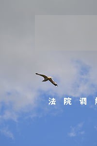 法院调解不公正怎么维权 法院调解不公正怎么维权