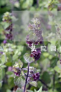 法院调解书一方不签字 法院调解书一方不签字