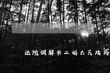 法院调解书二婚去民政局 法院调解书二婚去民政局