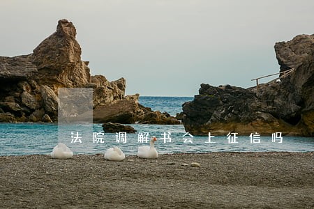 法院调解书会上征信吗