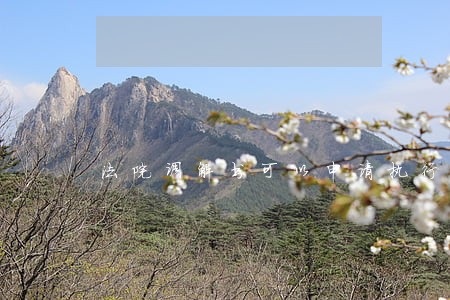 法院调解书可以申请执行吗