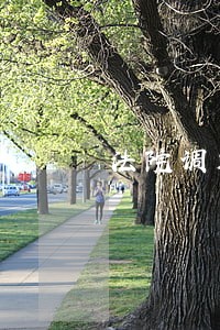 法院调解书如何进行申诉 法院调解书如何进行申诉