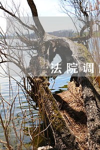 法院调解书是否注明理赔日子 法院调解书是否注明理赔日子