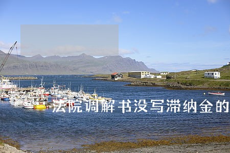 法院调解书没写滞纳金的 法院调解书没写滞纳金的