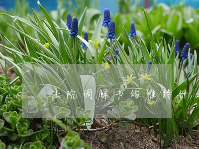 法院调解书的维持什么时候生效 法院调解书的维持什么时候生效