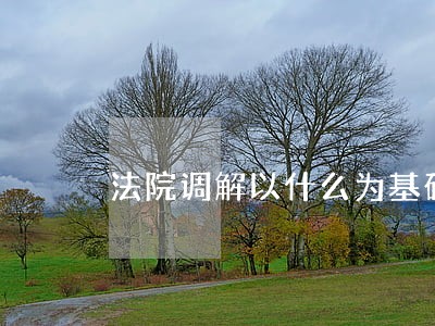 法院调解以什么为基础