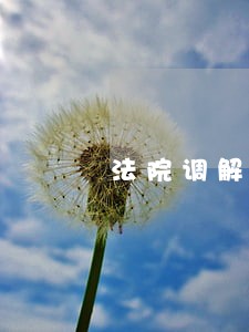 法院调解传担保人吗