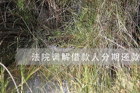 法院调解借款人分期还款计划