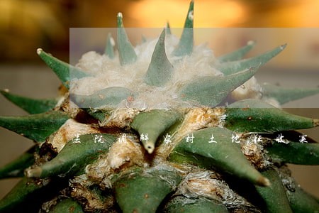 法院调解农村土地征收案件 法院调解农村土地征收案件