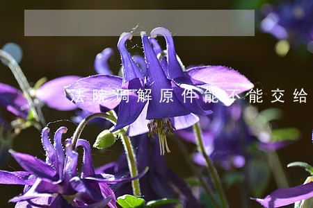 法院调解原件能不能交给律师 法院调解原件能不能交给律师
