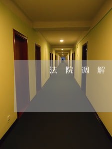 法院调解可以强制执行吗