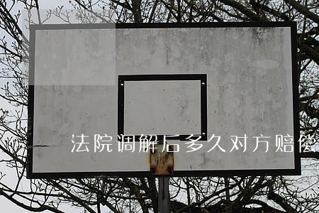法院调解后多久对方赔偿对方答